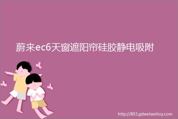 蔚来ec6天窗遮阳帘硅胶静电吸附