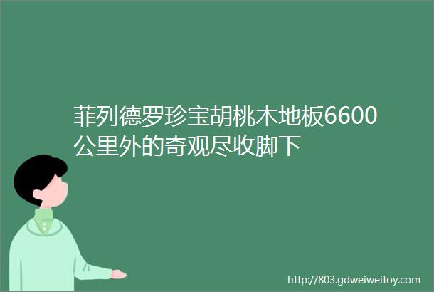 菲列德罗珍宝胡桃木地板6600公里外的奇观尽收脚下